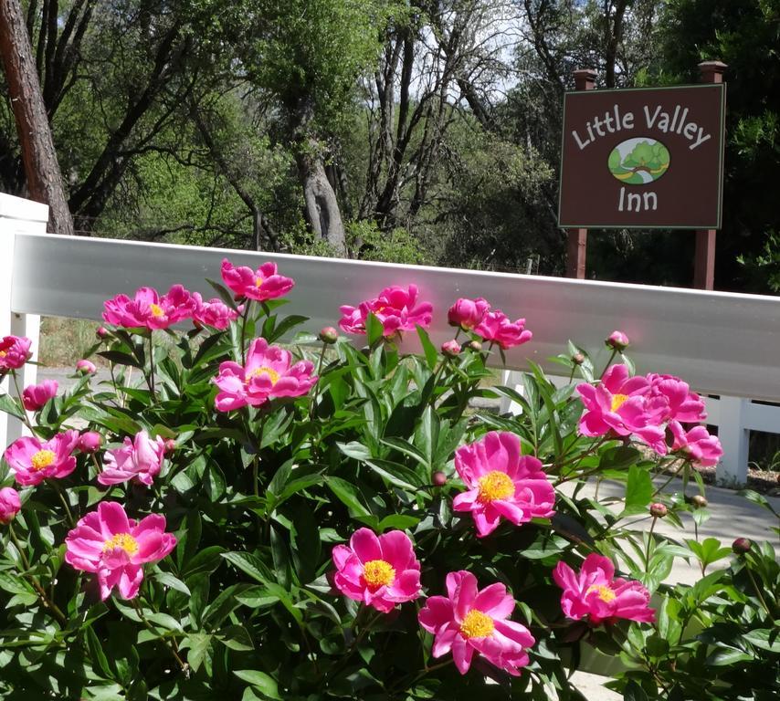 Little Valley Inn Mariposa Luaran gambar