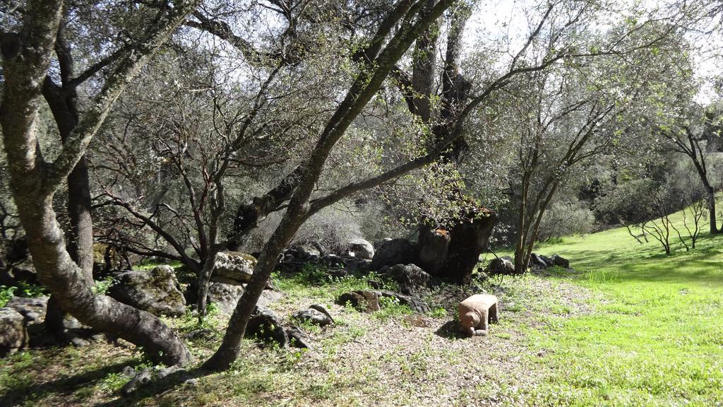 Little Valley Inn Mariposa Luaran gambar