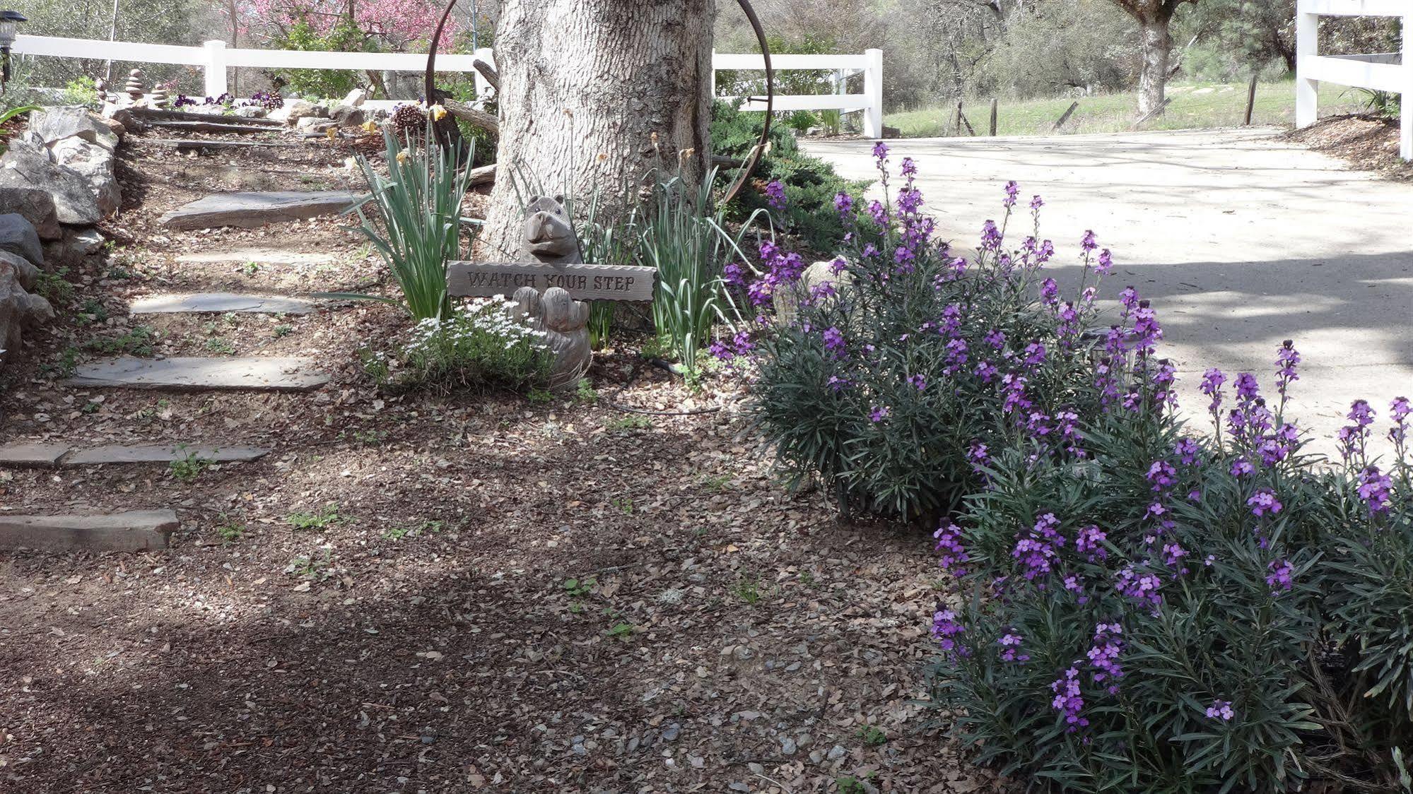 Little Valley Inn Mariposa Luaran gambar