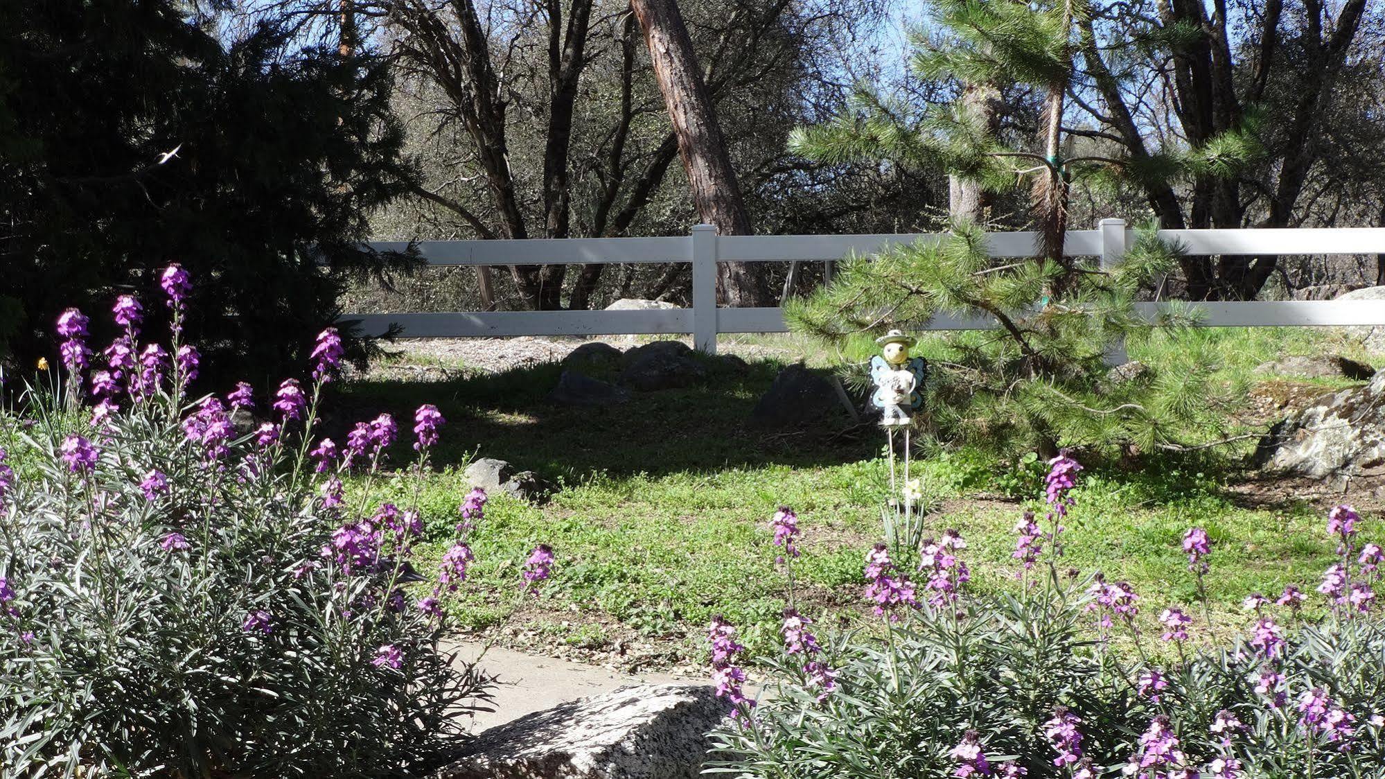 Little Valley Inn Mariposa Luaran gambar